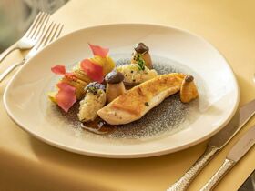 verzauberte Weihnachten in Dresden inkl. Weihnachtsdinner als Buffet am 25.12. / 3 Tage