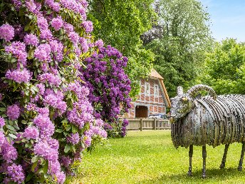 2 Tage Private Tiny Bio Wellness - Lüneburger Heide 