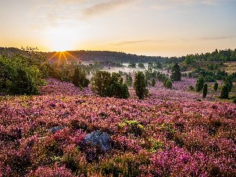 2 Tage Private Tiny Bio Wellness - Lüneburger Heide 