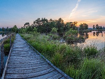 2 Tage Private Tiny Bio Wellness - Lüneburger Heide 