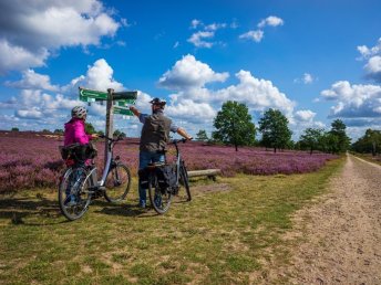 In die Heidelandschaft mit dem E-Bike- 3 Tage in der Lüneburger Heide 