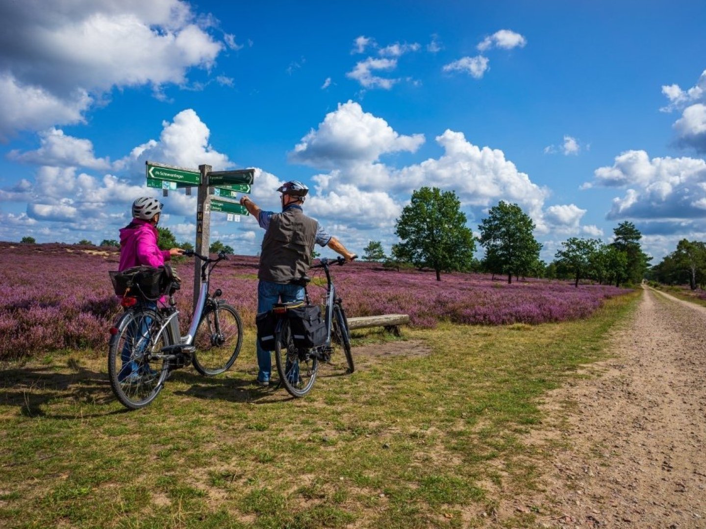 In die Heidelandschaft mit dem E-Bike- 3 Tage in der Lüneburger Heide 