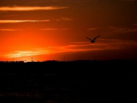 Pfingstglück auf Usedom im Strand,- und Wellnesshotel Preussenhof