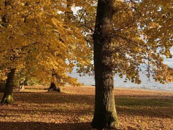Happy Hours am Bodensee
