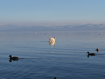 Happy Hours am Bodensee
