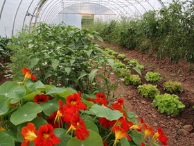 Landidyll AktivMomente 3-Gang