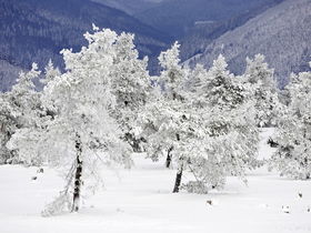 Erlebniswochenende im Upländer Hof