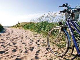 Freundinnentage auf dem Darß