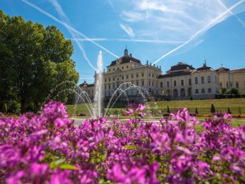 Frühlingserwachen im Schlossgarten 