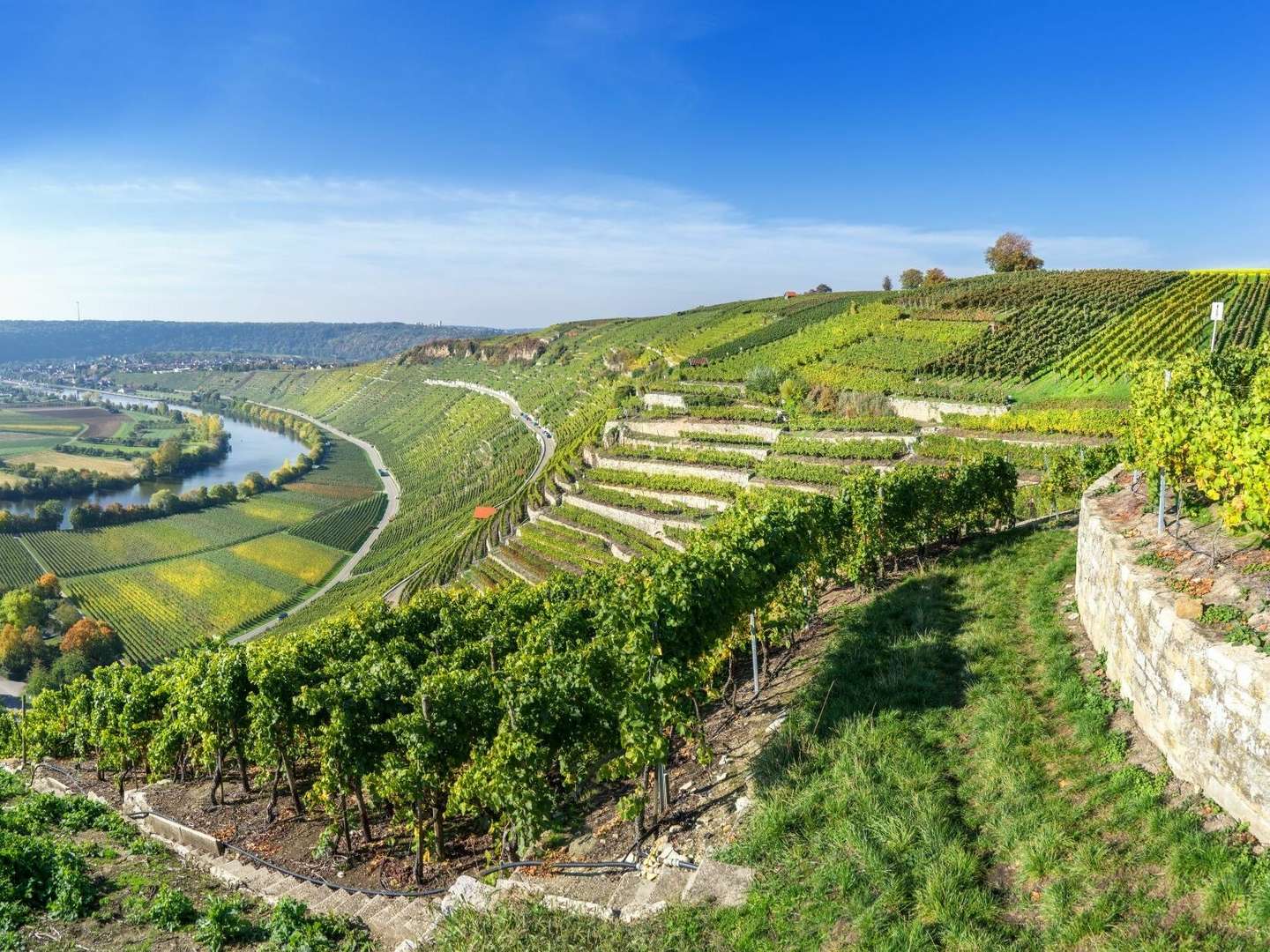 Frühlingserwachen im Schlossgarten 