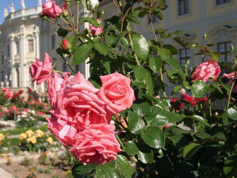 Frühlingserwachen im Schlossgarten 