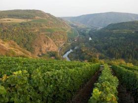  Radaktiv 2025 - Der Weg ist das Ziel 