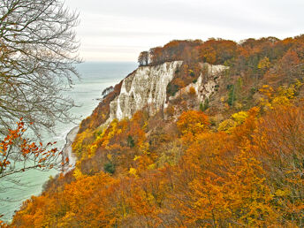 Goldener Herbst auf der Insel Rügen 2025