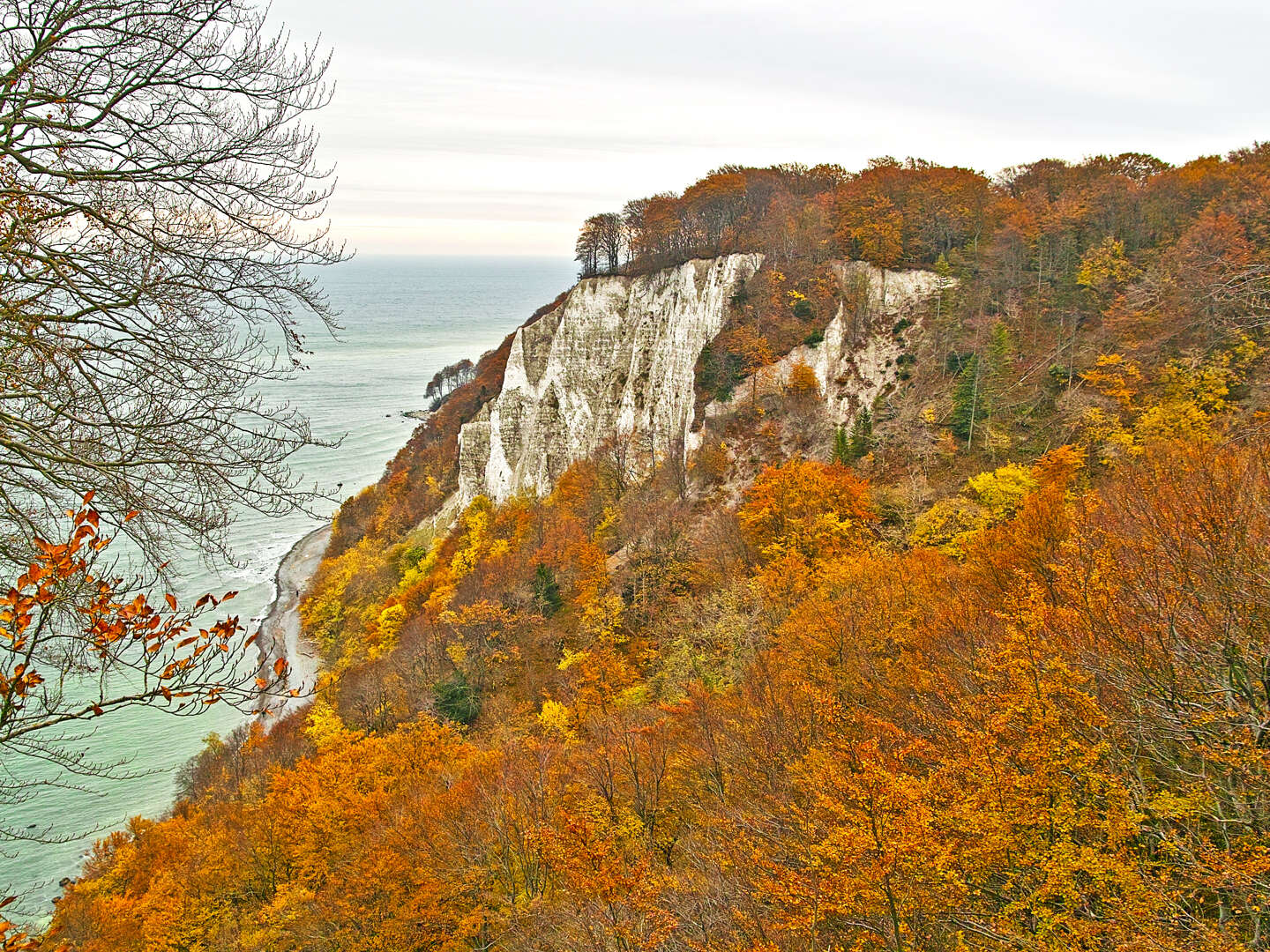 Goldener Herbst auf der Insel Rügen 2025