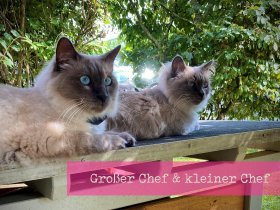 Walhalla erleben (5 Tage inkl. Eintritt in die Walhalla)