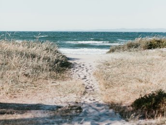 Immun-am-Meer