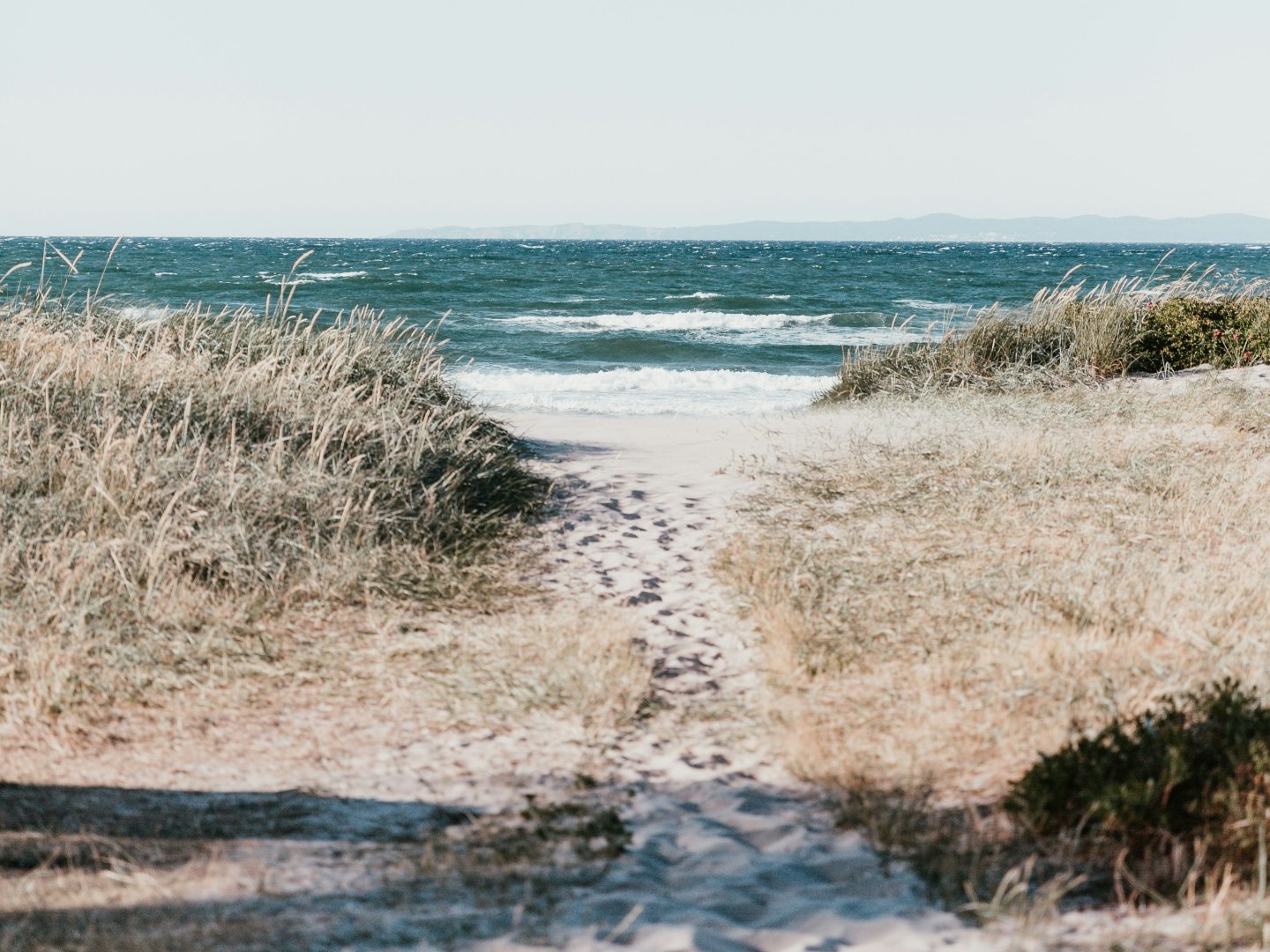 Immun-am-Meer