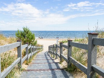 Immun am Meer