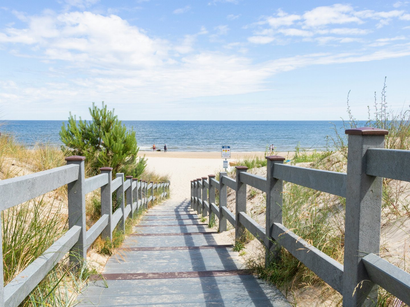 Immun am Meer