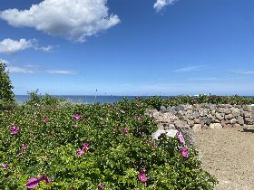 Auszeit an der Ostsee