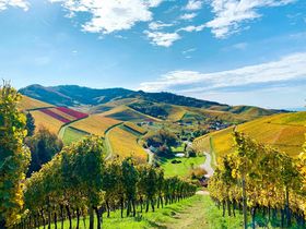 Kleine Auszeit in der Nähe von Straßburg