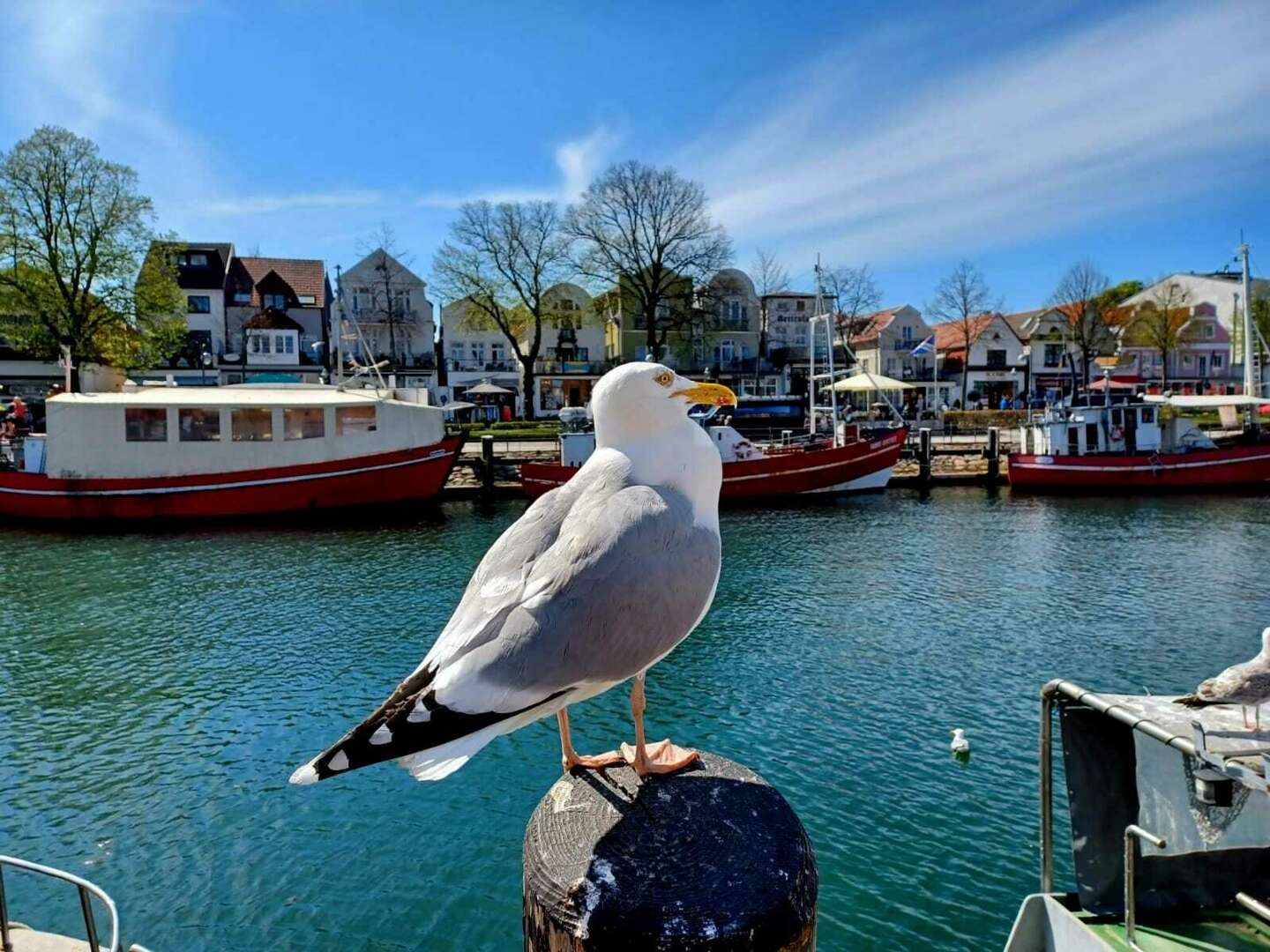 Kurzurlaub in Warnemünde inkl. Dinner