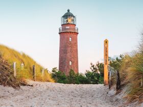 Zug der Kraniche in Prerow erleben