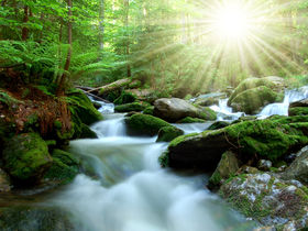 6 Tage Familienurlaub - Ein unvergessliches Erlebnis im Harz