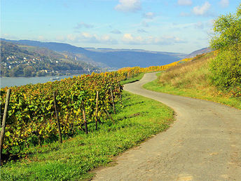Romantische Zeit zu Zweit in der Pfalz | 3 Tage inkl. Halbpension
