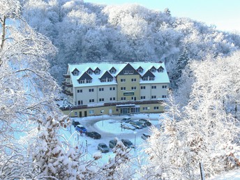 Kuschelzeit zu Zweit: Ein Kurzurlaub voller Zweisamkeit in Wernigerode