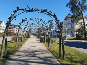 5 Tage Ostseeurlaub auf Rügen