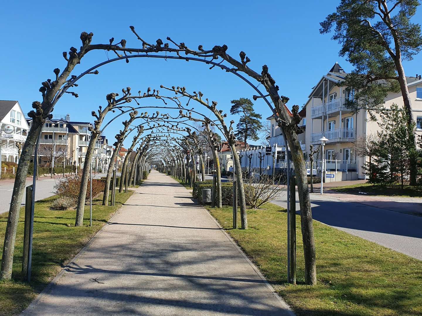 5 Tage Ostseeurlaub auf Rügen