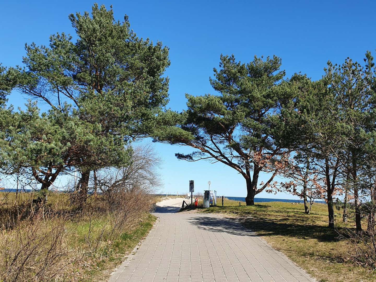 5 Tage Ostseeurlaub auf Rügen