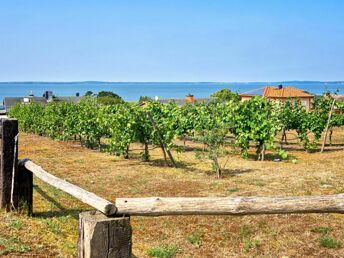 Frühling auf der Insel Usedom im 2-Raum-Appartement inklusive Frühstücksbuffet (7Ü.)