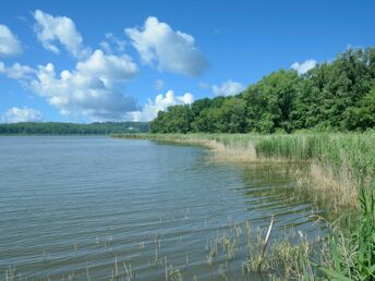 Frühling auf der Insel Usedom im 2-Raum-Appartement inklusive Frühstücksbuffet (7Ü.)