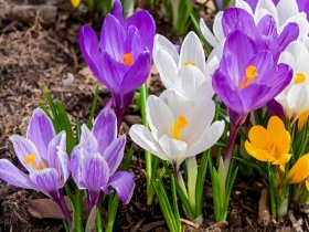 Last Minute Schnäppchen - Weimar Kurztrip im Komfortzimmer