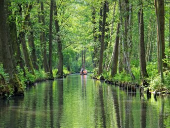 Kahnfahrt durch den Spreewald in Cottbus | 3 Tage