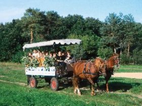 Wellness Spezial am Schweriner See