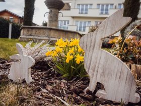 Ostersonntag-Arrangement