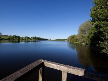 Natur pur - 4 Tage entspannen inkl. Massagen