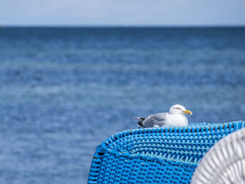 Herbstzauber im Norden: Ostsee, Sand & Strand /3 Tage