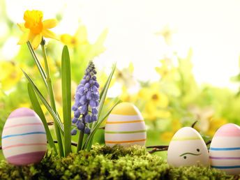 Ostern in Spreewald & Lausitz - 3 Nächte