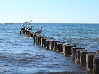 Abschalten am Meer inkl. Abendessen