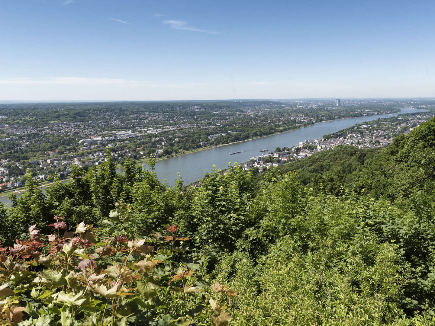 Radeln am Rhein | 5 Tage