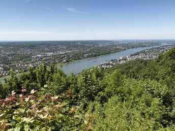 Radeln am Rhein | 5 Tage
