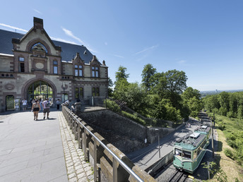 Radeln am Rhein | 5 Tage