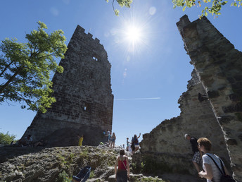 Radeln am Rhein | 5 Tage