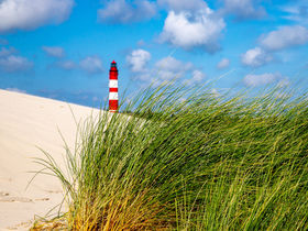 Silvester auf Amrum an der Nordsee I 4 Tage