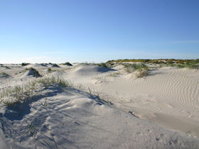 Silvester auf Amrum an der Nordsee I 4 Tage