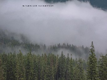 Wanderung mit Sauschwänzlebahn und Donauquelle im Schwarzwald